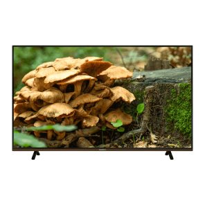 GRUNDIG PARIS 65 CLX 8675 BP